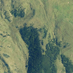 Satellite imagery of Whales Back, NZ