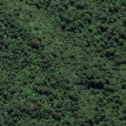 Satellite imagery of PETER RIDGE, NZ