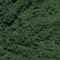 Satellite imagery of PETER RIDGE, NZ