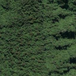 Satellite imagery of PETER RIDGE, NZ