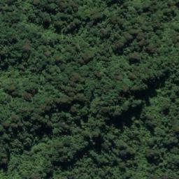 Satellite imagery of PETER RIDGE, NZ
