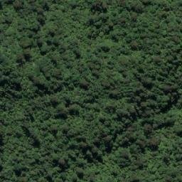 Satellite imagery of PETER RIDGE, NZ