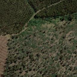 Satellite imagery of Bens Hill, AU