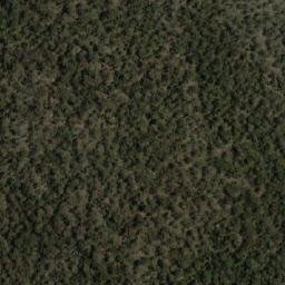 Satellite imagery of Rough Tom, AU