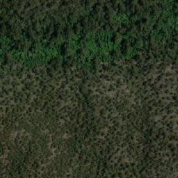Satellite imagery of Rough Tom, AU