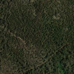 Satellite imagery of Rough Tom, AU