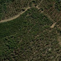 Satellite imagery of Badger Hill, AU