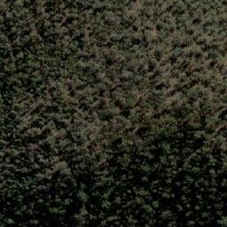 Satellite imagery of Donkeys Track Point, AU
