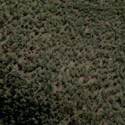 Satellite imagery of Donkeys Track Point, AU