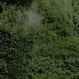 Satellite imagery of South Star, AU