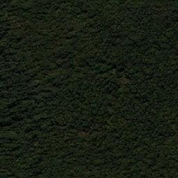 Satellite imagery of Bishop and Clerk, AU