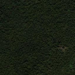 Satellite imagery of Bishop and Clerk, AU