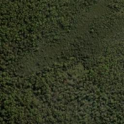 Satellite imagery of Dog Hill, AU