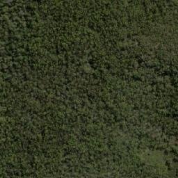 Satellite imagery of Dog Hill, AU