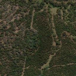 Satellite imagery of Mount Dismal, AU