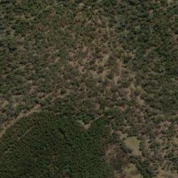 Satellite imagery of Mount Dismal, AU