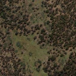 Satellite imagery of Bust-Me-Gall Hill, AU