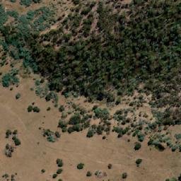 Satellite imagery of Stamford Hill, AU