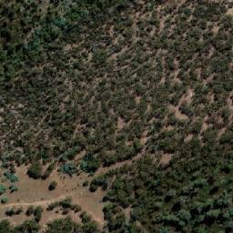 Satellite imagery of Stamford Hill, AU