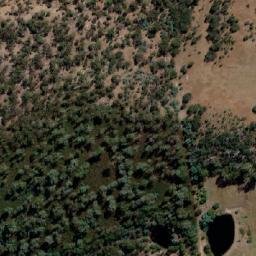 Satellite imagery of Stamford Hill, AU