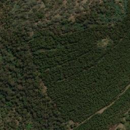 Satellite imagery of Mount Dismal, AU