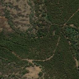 Satellite imagery of Mount Dismal, AU