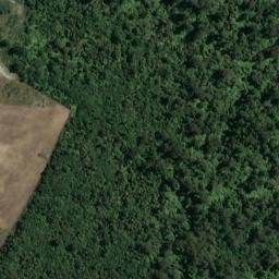 Satellite imagery of Drake Point, NZ