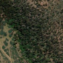 Satellite imagery of Watts Point, AU
