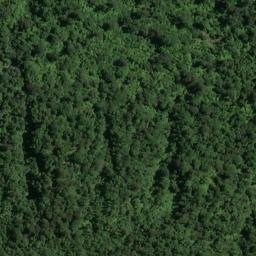 Satellite imagery of Knoll Point, NZ