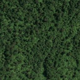 Satellite imagery of Knoll Point, NZ