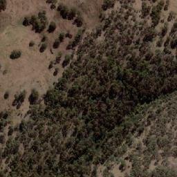 Satellite imagery of Thistly Coil, AU