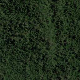 Satellite imagery of Olegas Bluff, AU