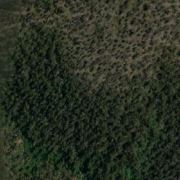Satellite imagery of Earlham Hill, AU