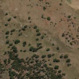 Satellite imagery of Brains Hill, AU