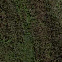 Satellite imagery of Mount Dromedary, AU