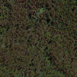 Satellite imagery of Mount Dromedary, AU