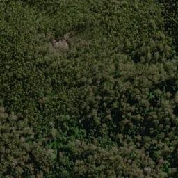 Satellite imagery of Tyenna Peak, AU