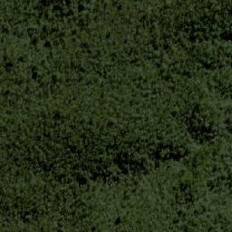 Satellite imagery of Mount Lewis, AU