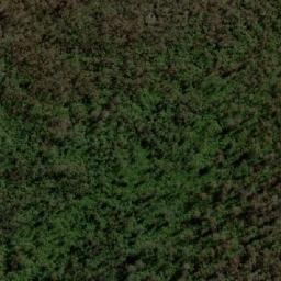 Satellite imagery of Mount Dromedary, AU