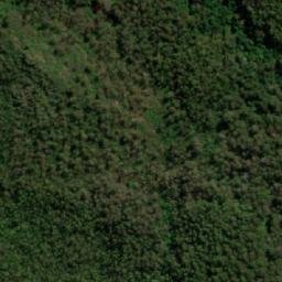 Satellite imagery of Tim Shea, AU