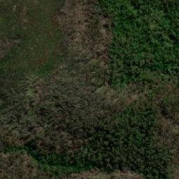 Satellite imagery of Tim Shea, AU