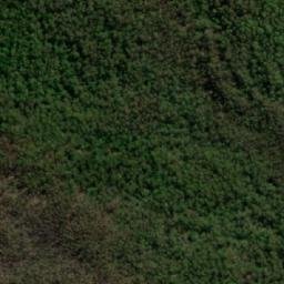 Satellite imagery of Tim Shea, AU