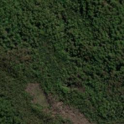 Satellite imagery of Tim Shea, AU