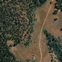 Satellite imagery of Bedding Hill, AU