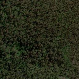 Satellite imagery of Pig Hill, AU