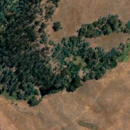 Satellite imagery of Bedding Hill, AU
