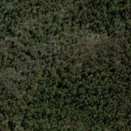 Satellite imagery of Pig Hill, AU