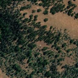 Satellite imagery of Bedding Hill, AU