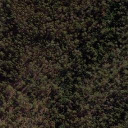 Satellite imagery of Dunbabins Hills, AU