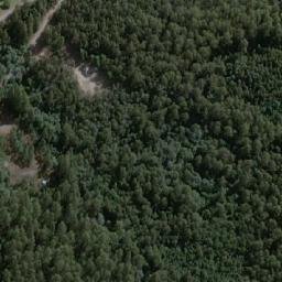 Satellite imagery of Pine Hill, AU